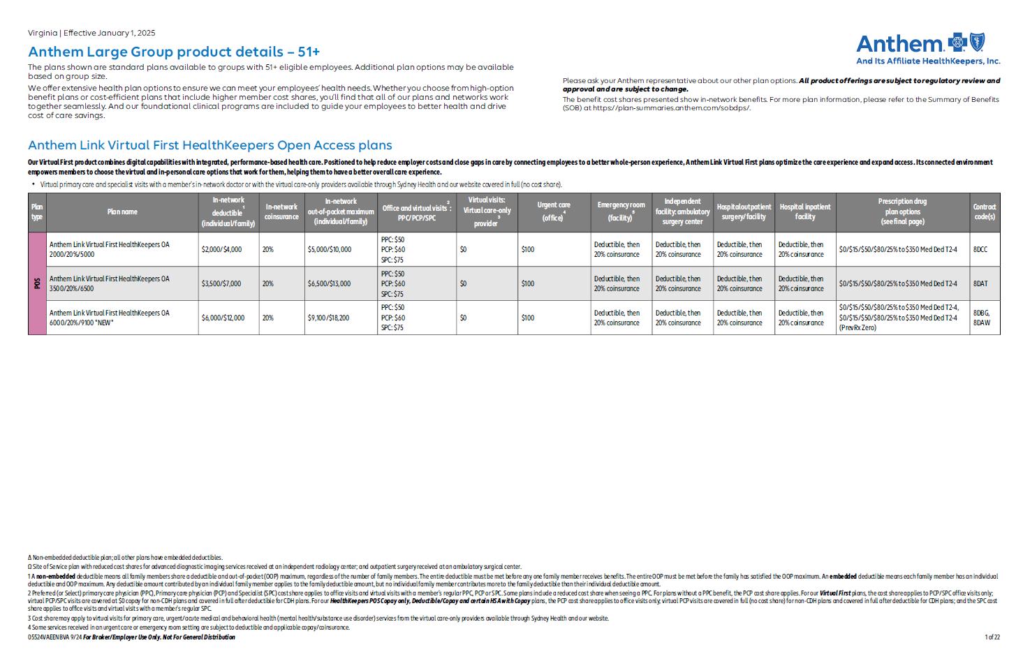 Anthem 2025 Mid Market And Large Group Product Grid